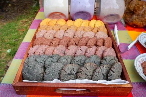 Sabores ecológicos y locales buscan consolidarse en Tlaxcala.