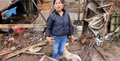Maricarmen Zaragoza ayuda a los animalitos desaparecidos por las lluvias en Huauchinango.