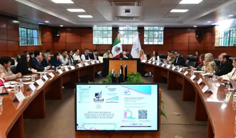 En la primera sesión del Comité Nacional de Cáncer en la Mujer, se consolidó el compromiso del sector salud.