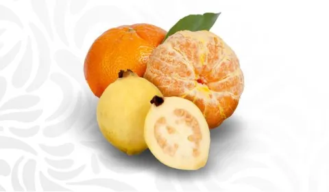 FRUTA