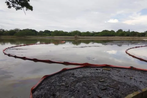 Pemex informó que ha recuperado dos millones 519 mil 100 litros de hidrocarburo en diez puntos estratégicos ubicados a lo largo del río Pantepec y sus afluentes en Veracruz.