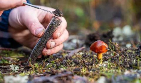 Cuidar las especies silvestres es proteger la vida. Su uso sostenible fortalece ecosistemas y la seguridad alimentaria.
