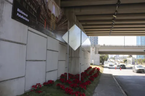 Plantan Noche Buenas en Viaducto Atlixcáyotl en Puebla.