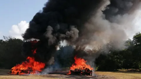 Elementos de la Semar incineraron más de 2 toneladas de drogas en Chiapas 