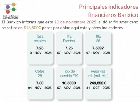 Indicadores