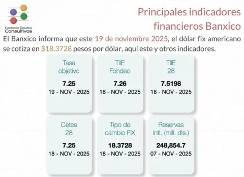 Indicadores