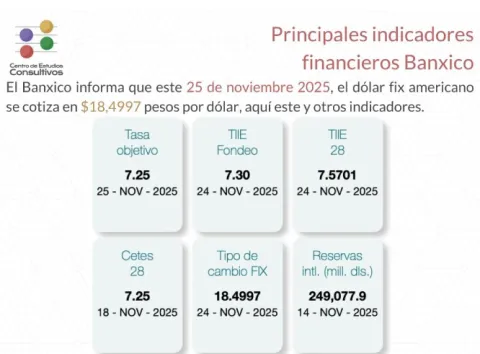 Indicadores