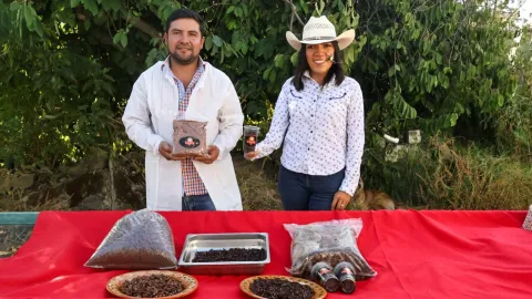 "De una plaga a una oportunidad": familia tlaxcalteca impulsa proyecto sustentable de chapulines.