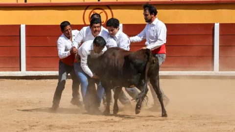 Tlaxcala celebra su Primer Encuentro de Forcados en la Plaza "Jorge El Ranchero Aguilar".