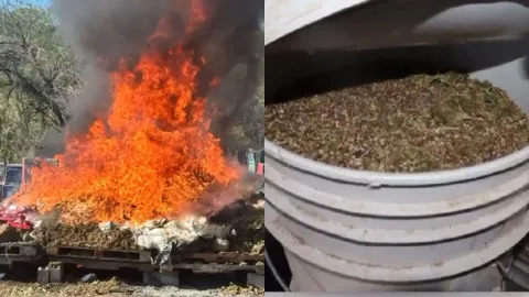 Elementos de la FGR incineraron cerca de 2 toneladas de droga en Sinaloa 