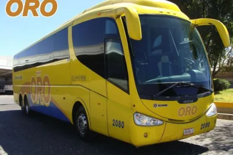 autobuses oro