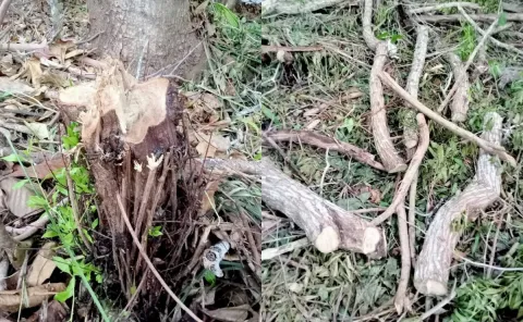 Autoridades federales llevaron a cabo la clausura de una zona a la entrada de Sisal, Yucatán.