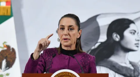 sheinbaum-tehido morado