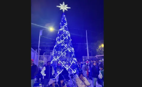 árbol navidad