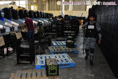 En Michoacán, autoridades detienen a ocho personas, aseguran armas e inhabilitan dos campamentos clandestinos.