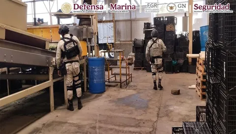 En el marco del Plan Michoacán por la Paz y la Justicia autoridades detienen a 278 personas y aseguran más de 700 kilos de droga.