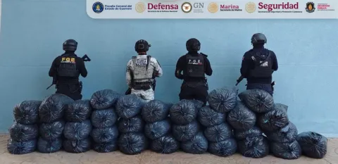 Aseguran 178 kilos de mariguana en Quechultenango, Guerrero.