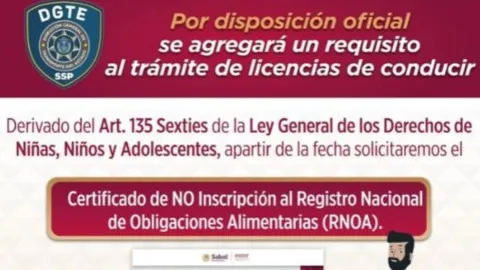En Veracruz, los deudores alimenticios no podrán tramitar licencia de conducir