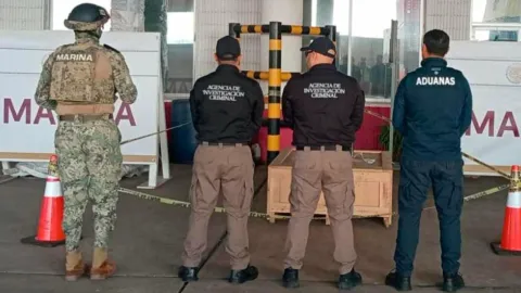 En Veracruz, Semar aseguro alrededor de 96 kg de sustancias alucinógenas