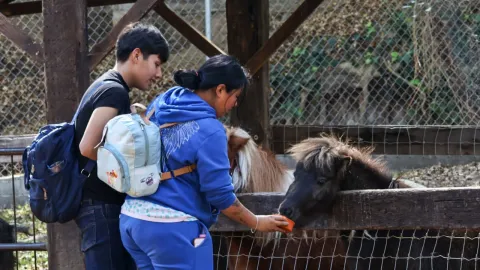 Cientos de familias disfrutan del Zoológico del Altiplano en Tlaxcala.