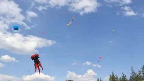 Papalotes pintan el cielo de Panotla, en Tlaxcala.