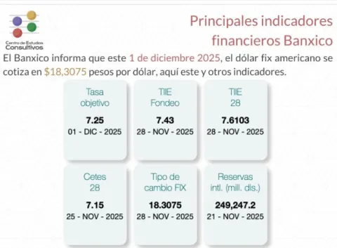 Indicadores