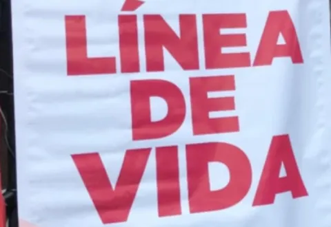 linea
