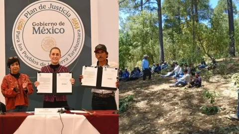 Sheinbaum restituyó tierras a múltiples comunidades indígenas de Chihuahua 