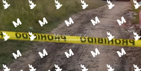 En un camino de terracería en el municipio de San Salvador El Verde, fue localizado un costal con vísceras de animal acompañado de un cartón con un mensaje de advertencia.