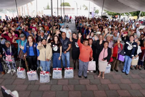 cuautle-canasta navideña