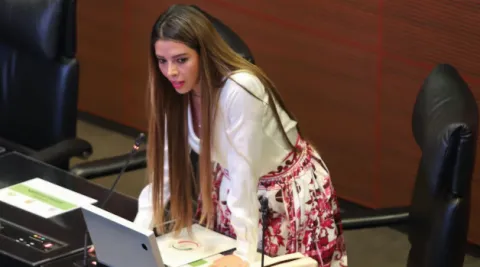 ruth miriam-senadora pvem-sdp