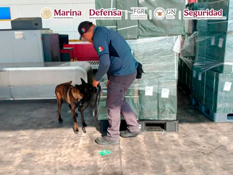 Fue asegurado aproximadamente 19,779.5 kilos de tabaco ilegal, equivalentes a 954,380 cajetillas de cigarrillos en el AICM.