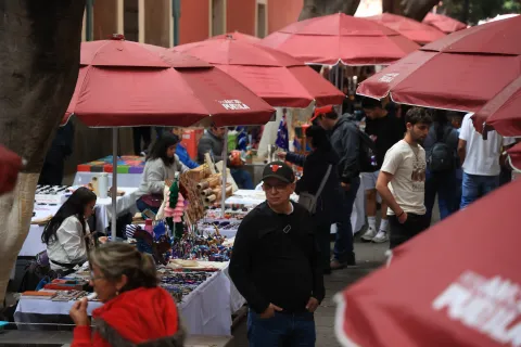 Nueva imagen en Los Sapos y Barrio del Artista en Puebla.