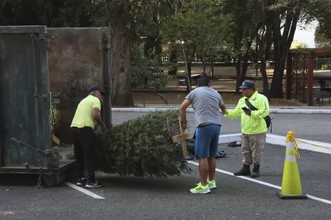 Verde Navidad activo en varios puntos de la ciudad de Puebla.