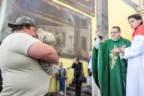 Bendición de mascotas por celebración a San Antonio Abad en Puebla.