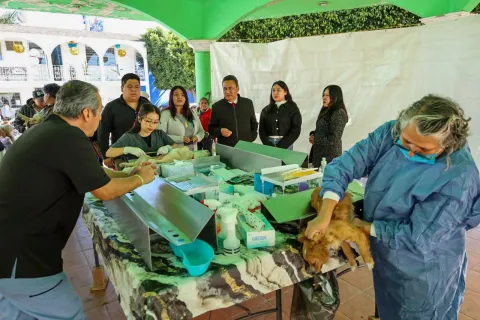 armando aguirre-mascotas