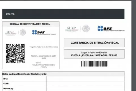 constancia sat