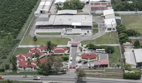 La planta productora de moscas estériles para combatir el gusano barrenador, ubicada en Chiapas, presenta avance del 50 por ciento.