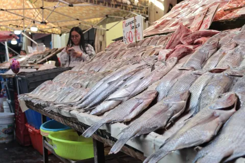 Inicia la Cuaresma: Vendedores de mariscos mantienen precios en Puebla.