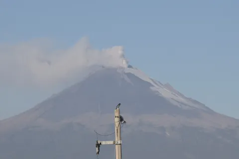 Volcán Popocatépetl despide febrero con una fumarola, visible desde Puebla.