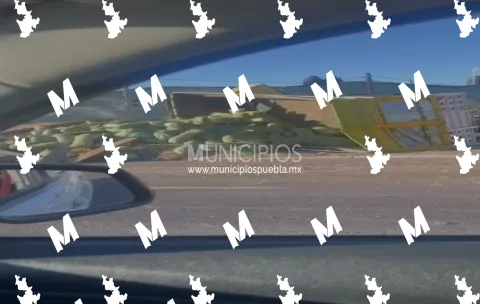 Vuelca tractocamión cargado de limones en la autopista México-Puebla a la altura de Texmelucan.