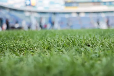 Avanza Plan de Mejora de la cancha del Estadio Cuauhtémoc.