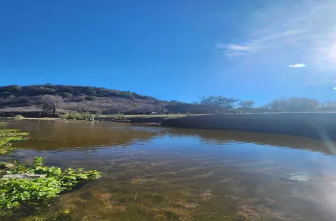 Semarnat realiza pruebas de contaminación en el río Sonora.