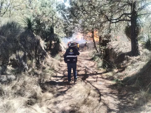 En este 2026 el estado de Puebla suma 85 incendios forestales liquidados.