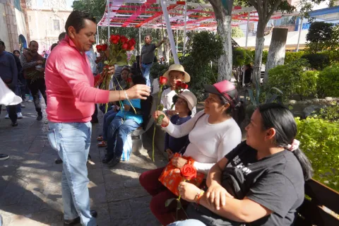 edil texmelucan-rosas