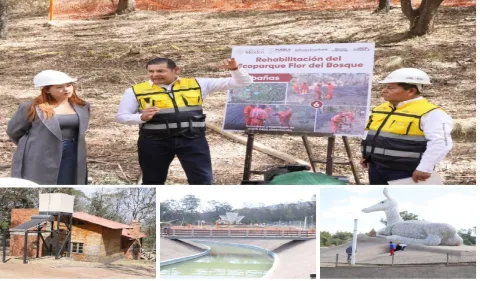 parque flor del bosque