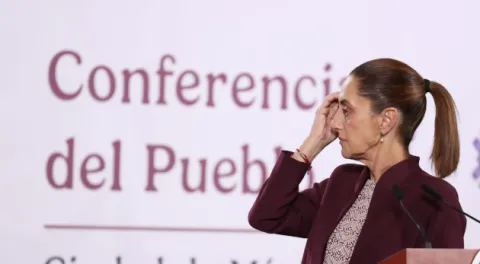 sheinbaum-mañanera-sdp