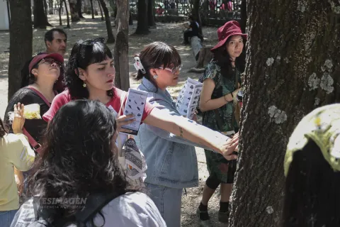 Realizan Brigada Verde: espacio de apreciación a los árboles del Parque Juárez en Puebla.