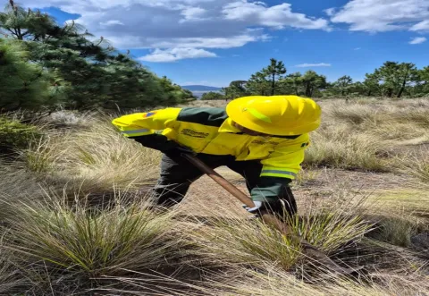 Realizan brechas cortafuego en los límites municipales de Chignautla y Xiutetelco.