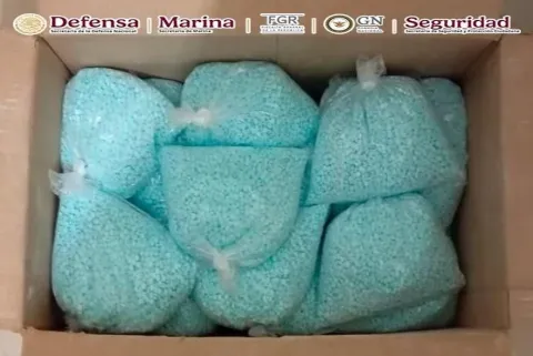 Suman 12 mil 424 personas detenidas en la Operación Frontera Norte.